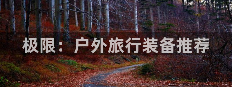 新宝gg客户端下载