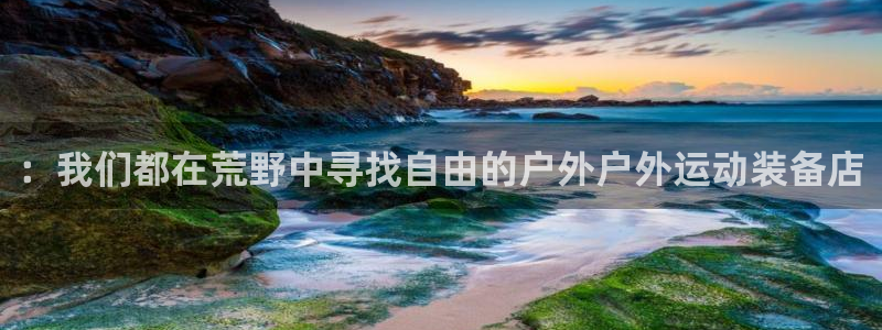 新宝gg提点