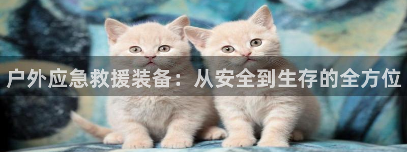 新宝gg投注