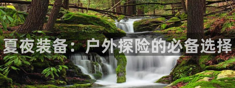 新宝gg赚钱