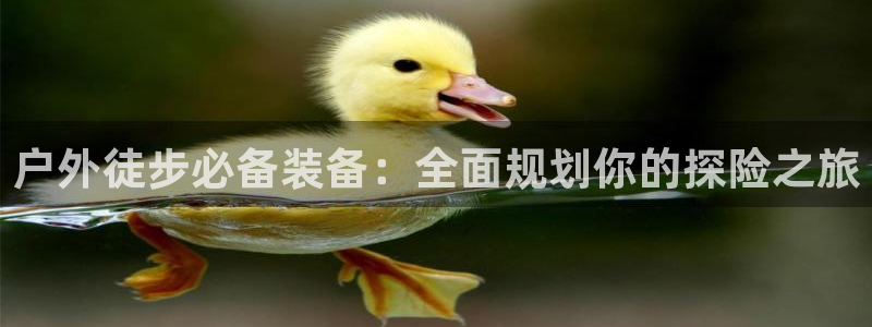 新宝gg是在境外吗